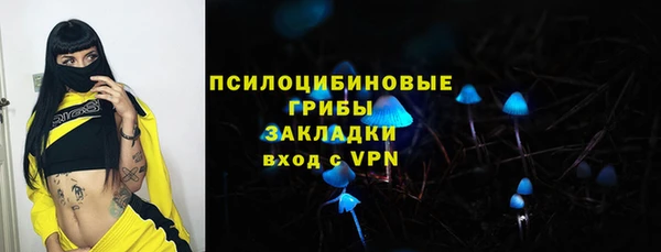 бошки Гусь-Хрустальный