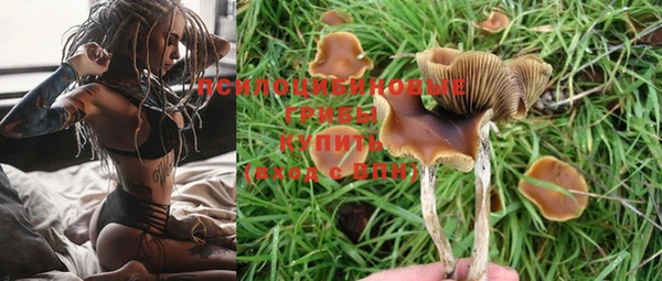 jwh Липки