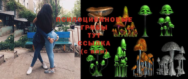 бошки Гусь-Хрустальный