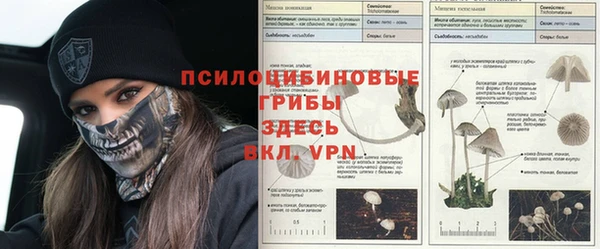 индика Нязепетровск