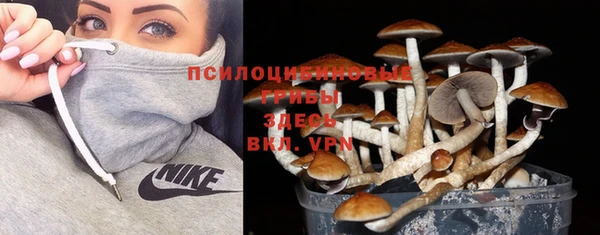 а пвп мука Магас